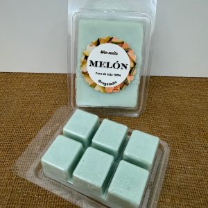 Wax Melt Melón